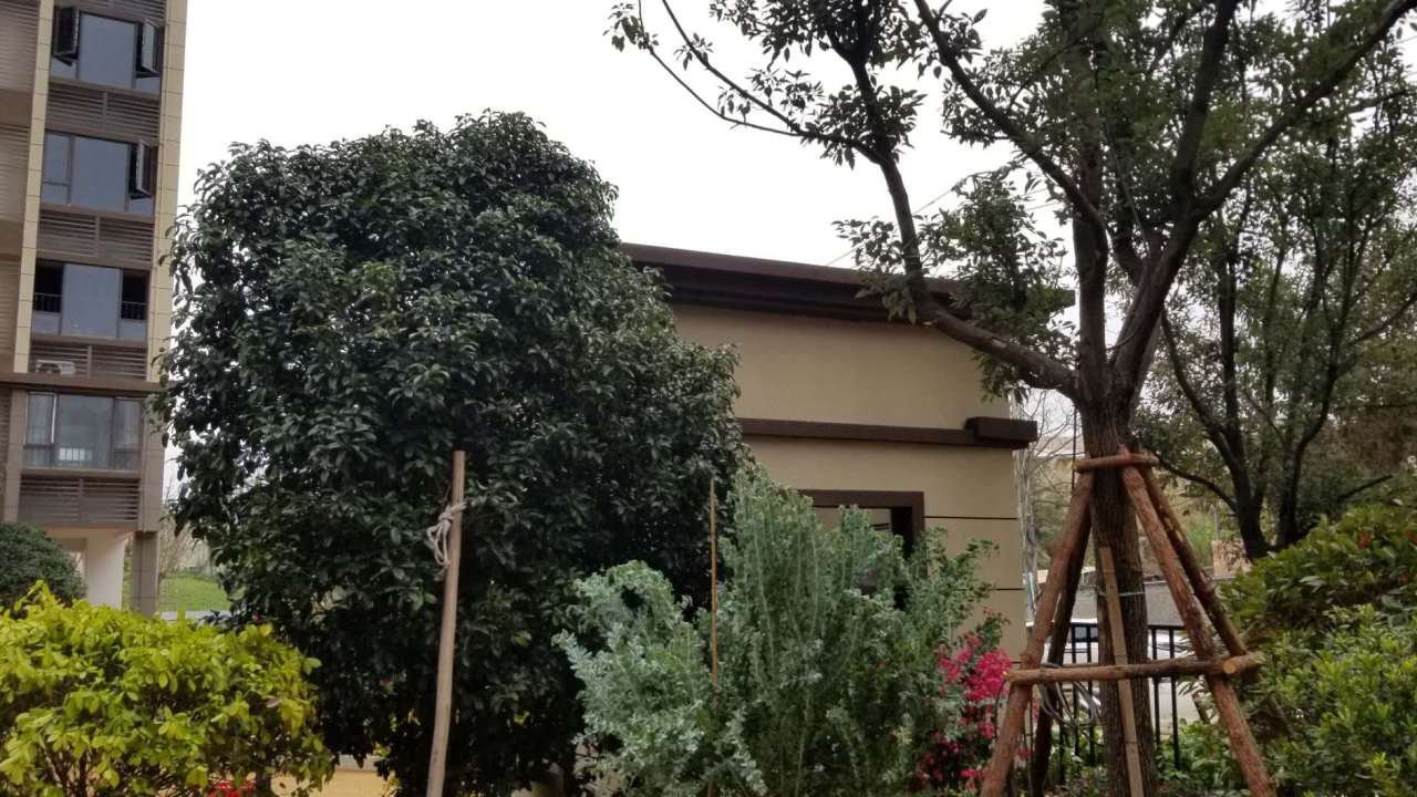 龍巖碧桂園·御府