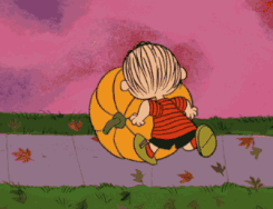 小南瓜要逃跑啦! 小宝宝们快点追回来呀!