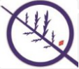 分會場：循證醫(yī)學(xué)與Cochrane證據(jù)