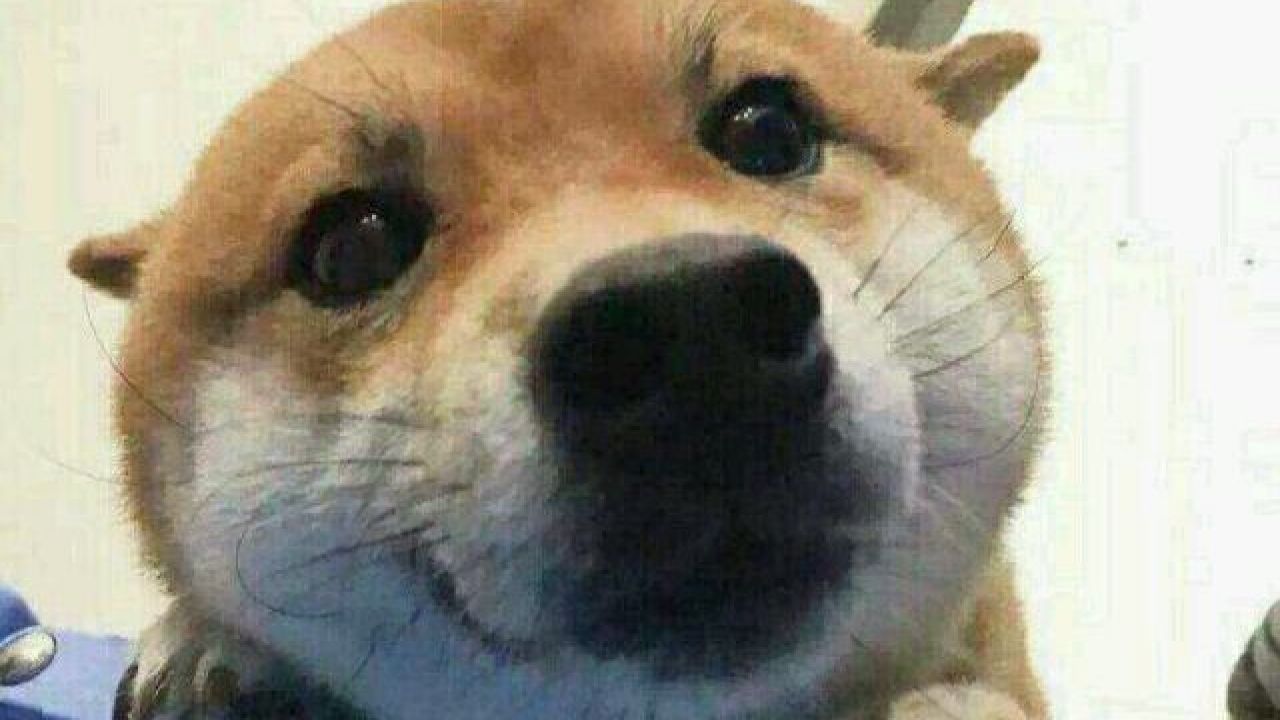 文科37班