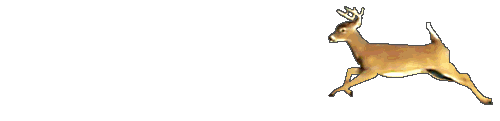 一曲《亲爱的你在想我吗?》太漂亮太好听了