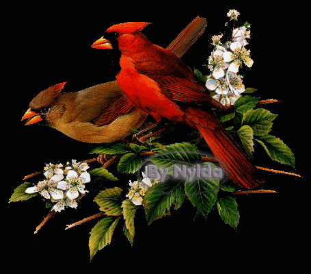 一首《我在红尘中遇见你》送给思念我的人!