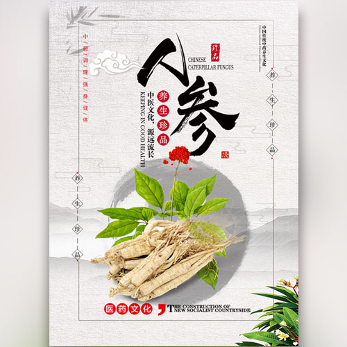 人參野山參保健品補(bǔ)品禮品活動(dòng)促銷