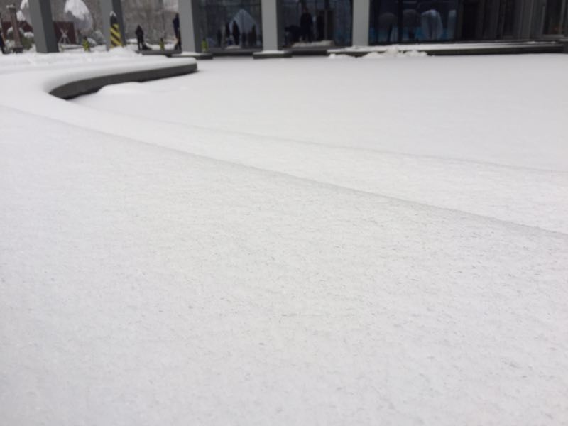 永利國際清掃積雪活動