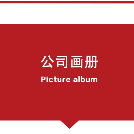 優(yōu)秀項(xiàng)目經(jīng)理