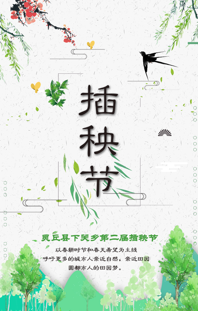 又是一年插秧節