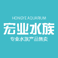 宏业水族淘宝店