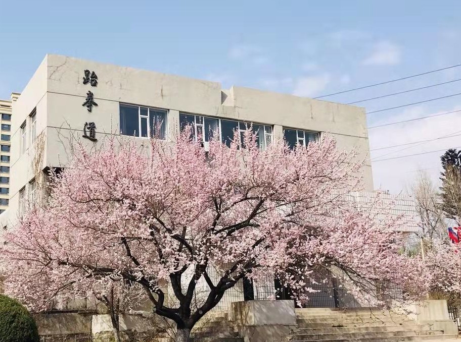 延大跆拳道社团纳新啦