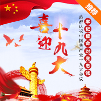 十九大全國人民代表大會黨建專題活動政府宣傳節日祝福