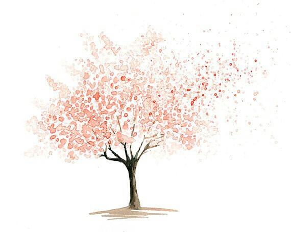 一棵開(kāi)花的樹(shù)