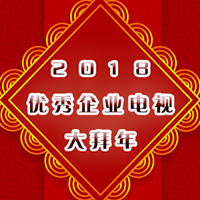 2018優(yōu)秀企業(yè)電視大拜年