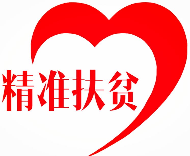 兴平市西吴街道扶贫办2017记录