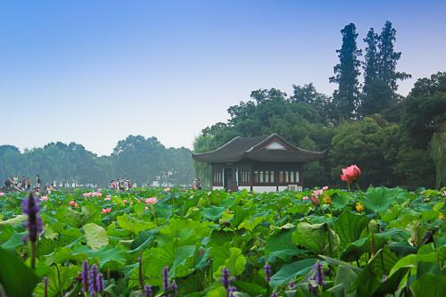 西湖十景