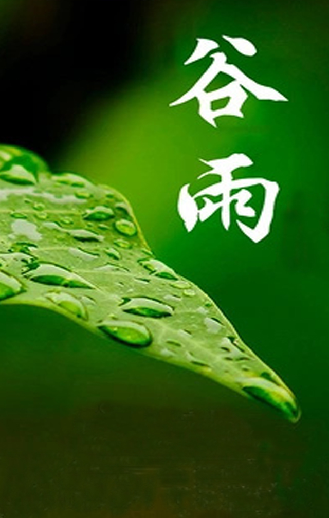 穀雨的祝福送給你!