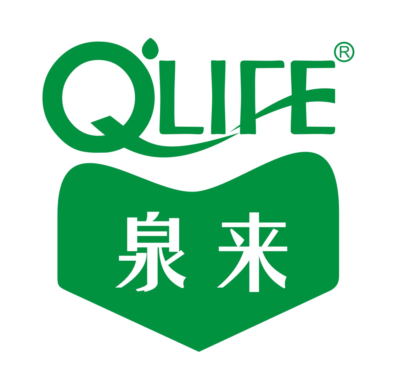 2017年日月升辉电器盛装开业 惠动全城