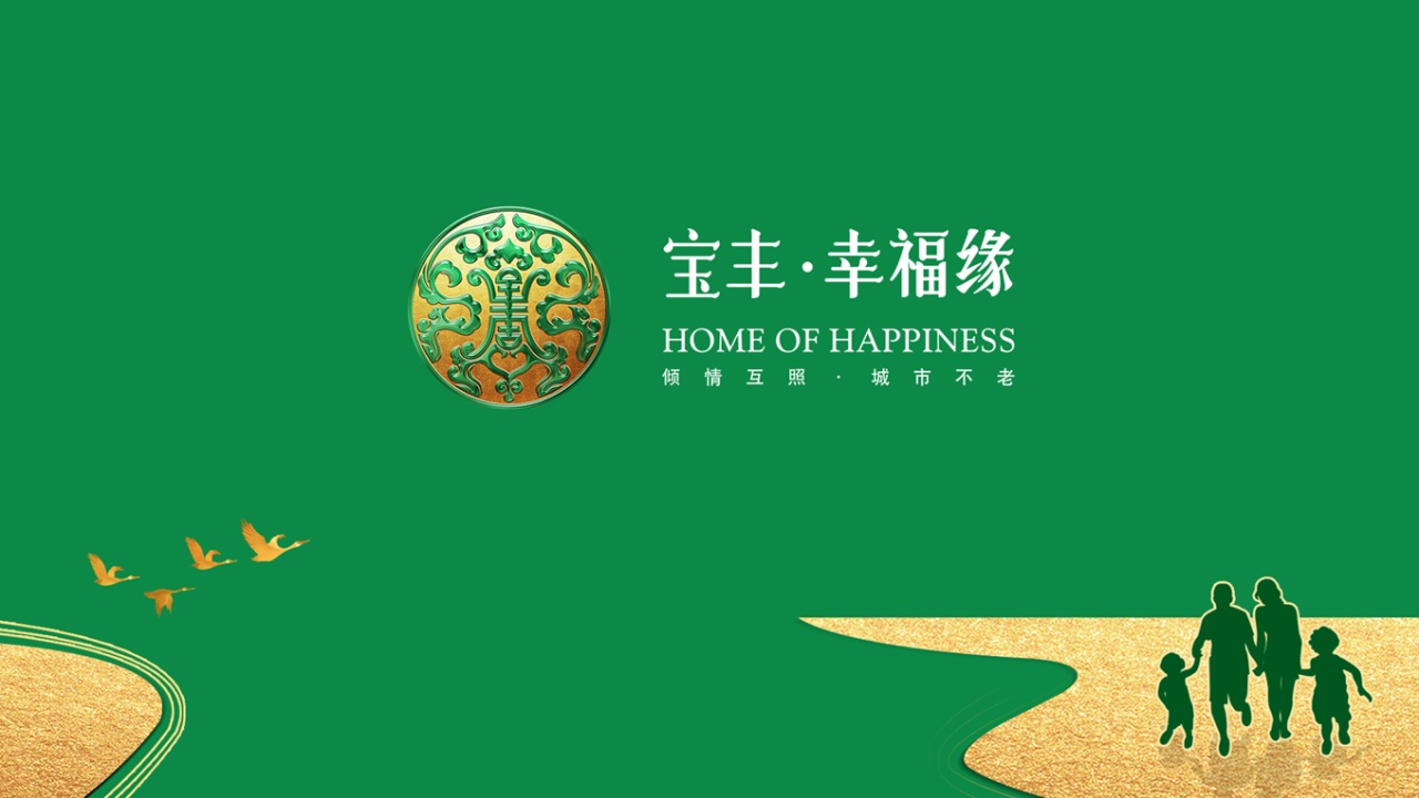 宝丰幸福缘，医养教融，公益康养