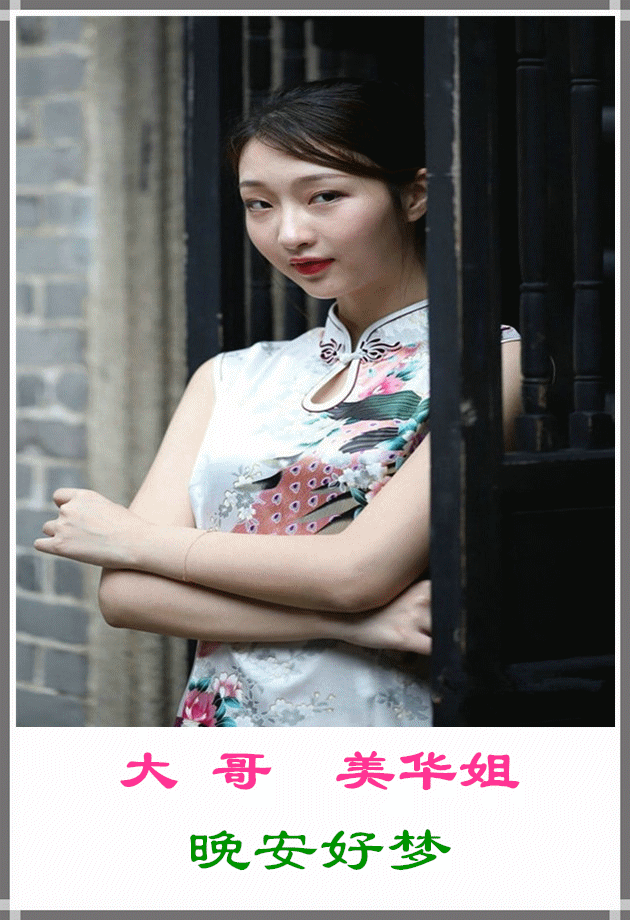 问候五星三队一家人晚安好梦。背景音乐：旗袍美人