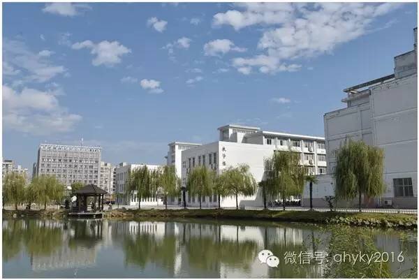 歡迎報考安徽冶金科技職業學院醫學護理系