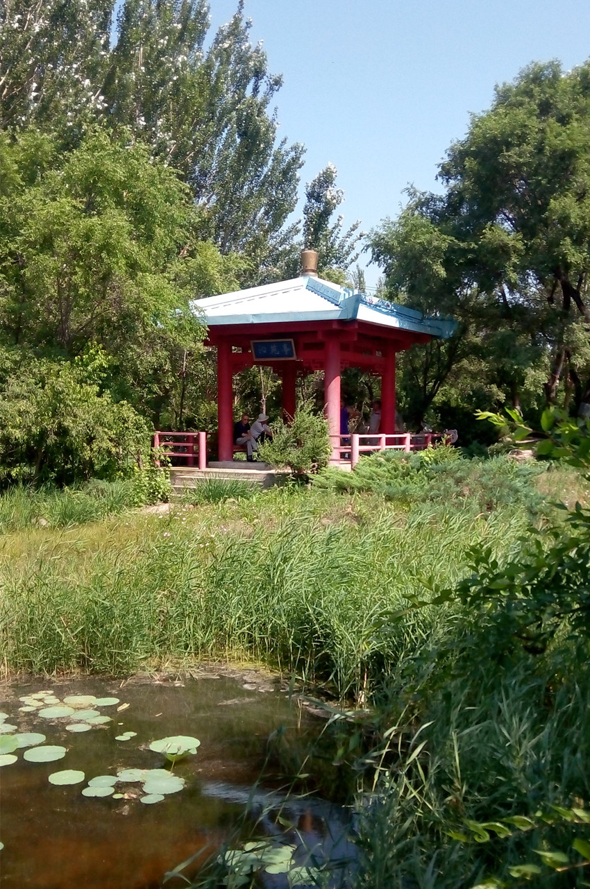 卜算子  散步大庆森林公园