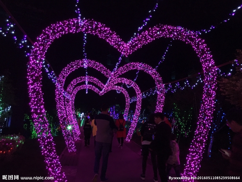 合肥玫瑰园夜景图片