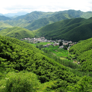 莫干山鎮行政村簡介