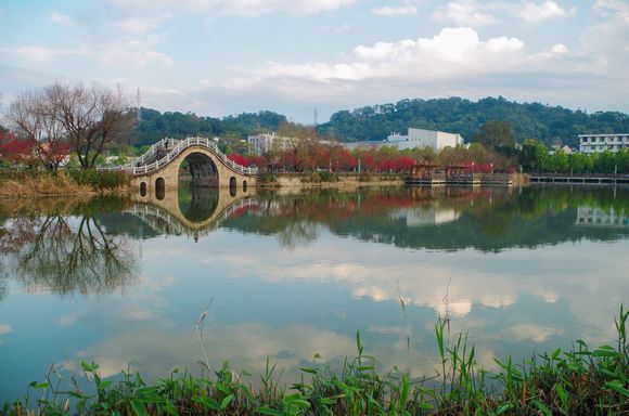 福建農林大學泉州校友會2017年迎新年晚會邀請函