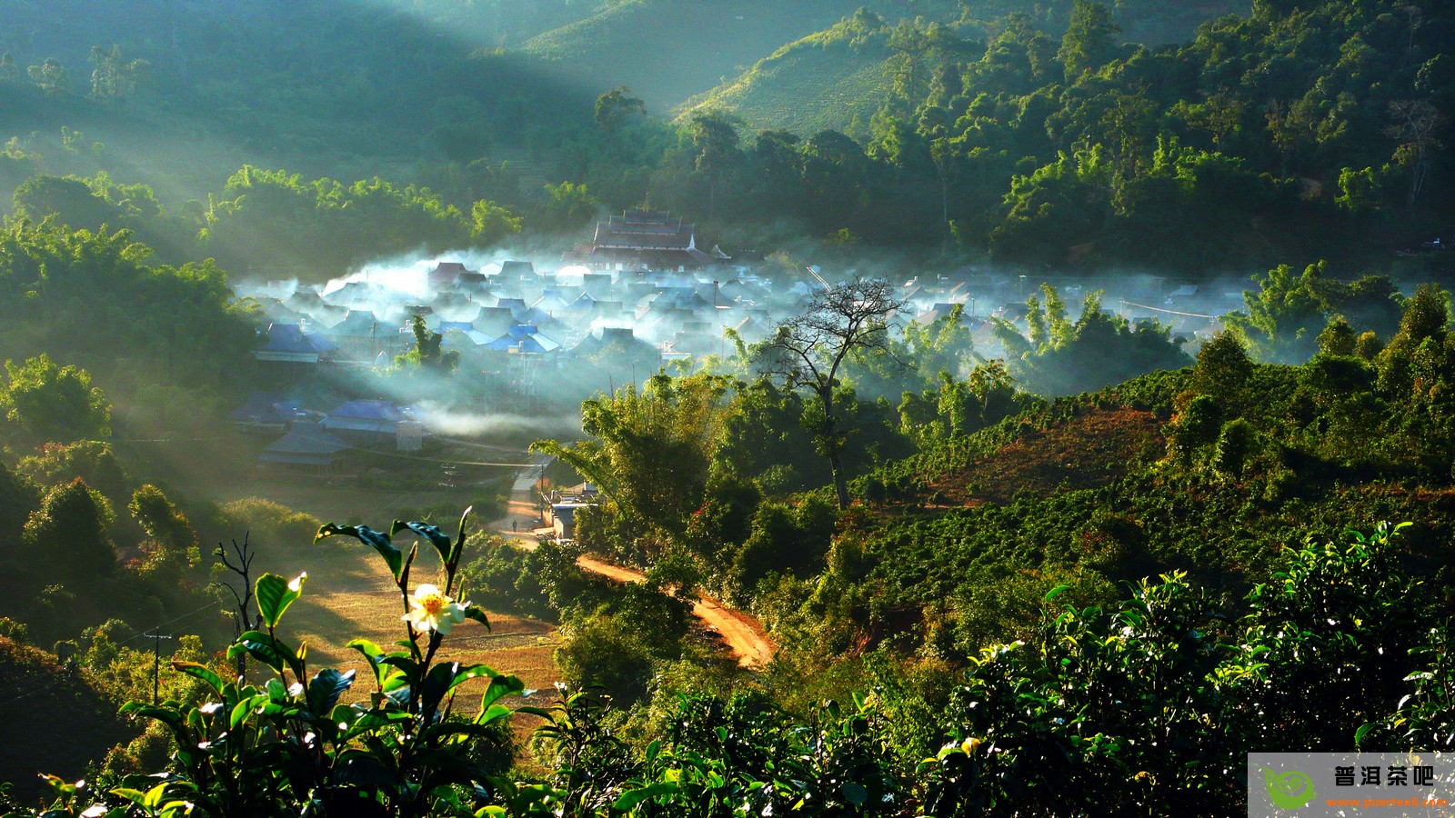 mtrip我的旅行●西双版纳傣式风情4日深度游-龙华市场部