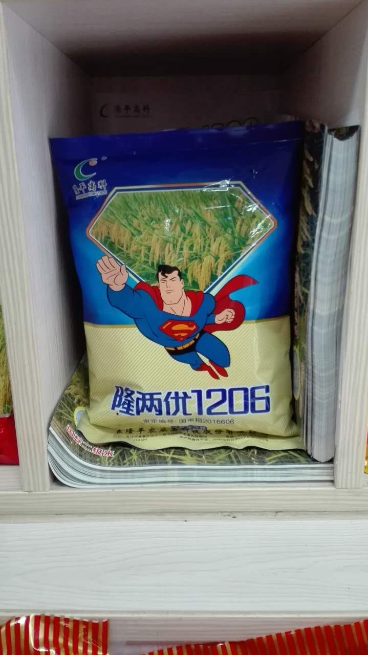 四川平强电子商务有限公司 水稻浸种催芽技术要点 隆两优1206 高抗两