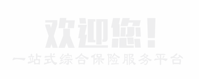 一站式综合保险服务平台