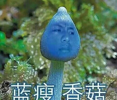 酷狗音乐热门歌曲 - 蓝瘦 香菇