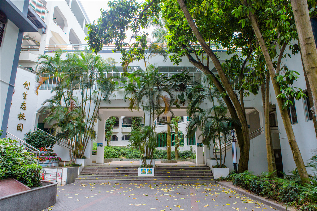 深圳市华侨城小学2017届六(8)班