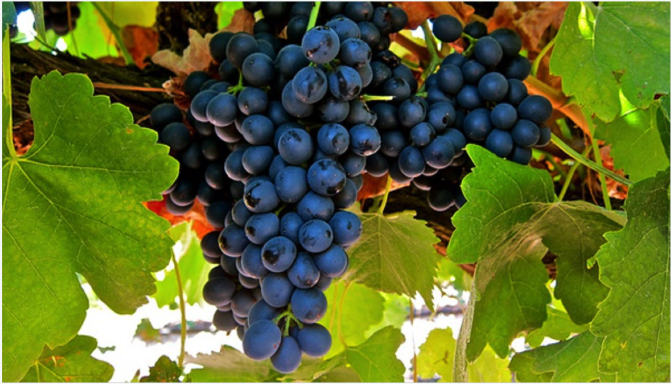 finesse to power, it holds a youthful factor and never ceases