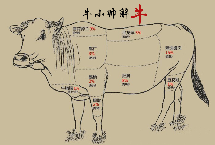 牛分布图身体部位图片