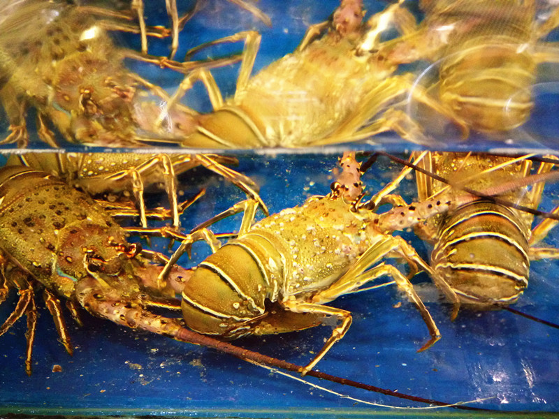 【全单点菜7.8折】海宝盛宴海鲜酒家