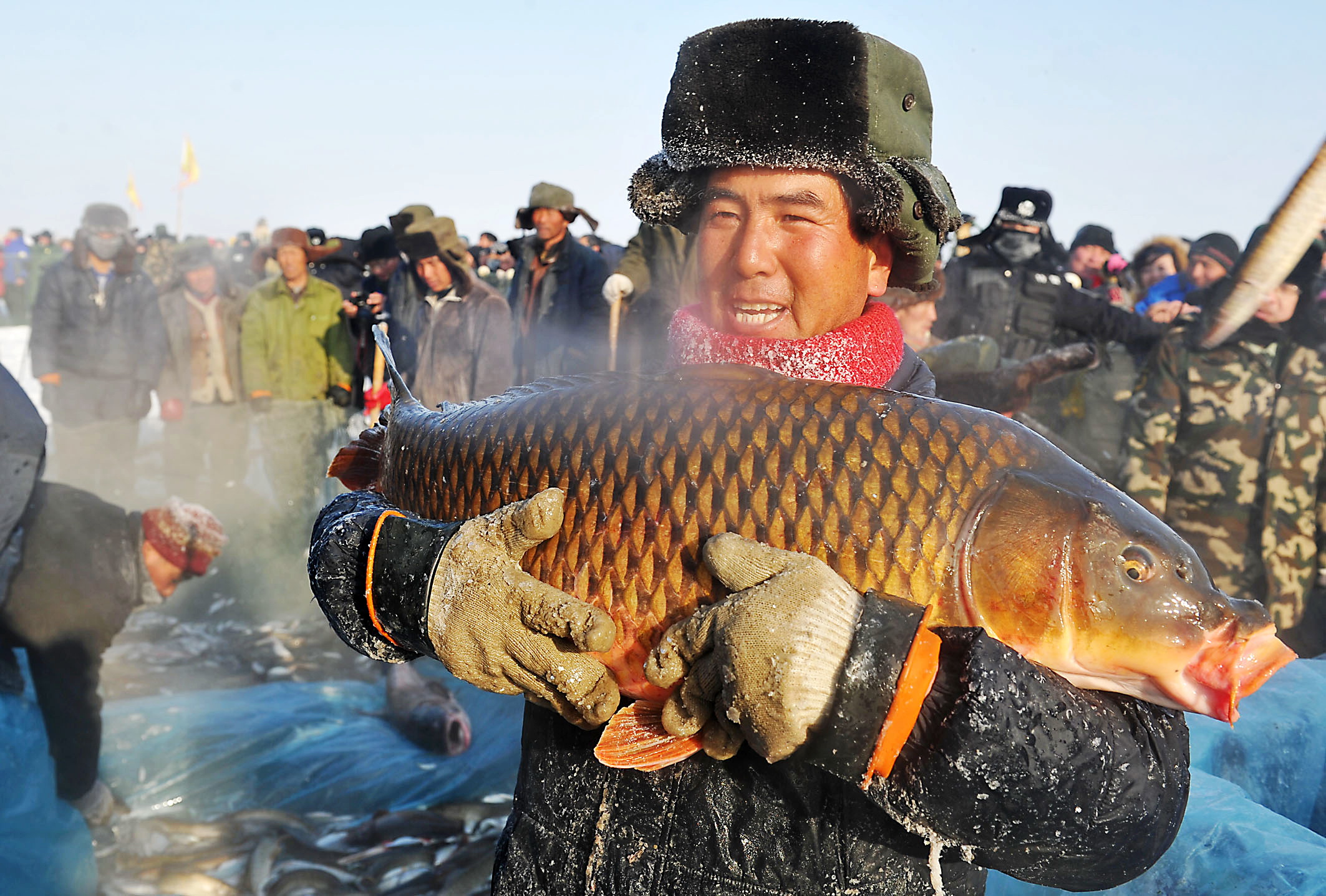 福海冬捕节头鱼图片