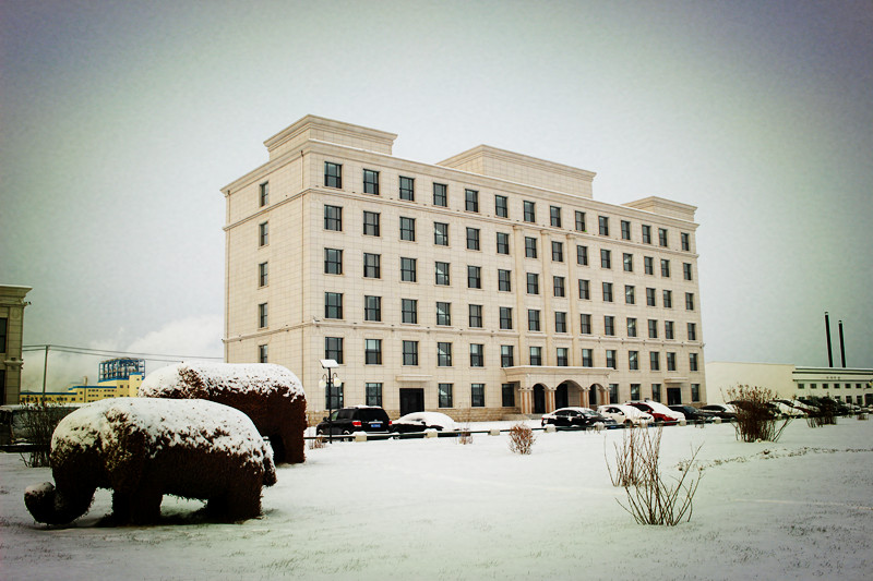 富锦象屿金谷雪景