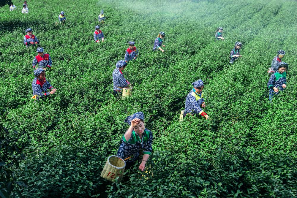 祭山开元节邀请函