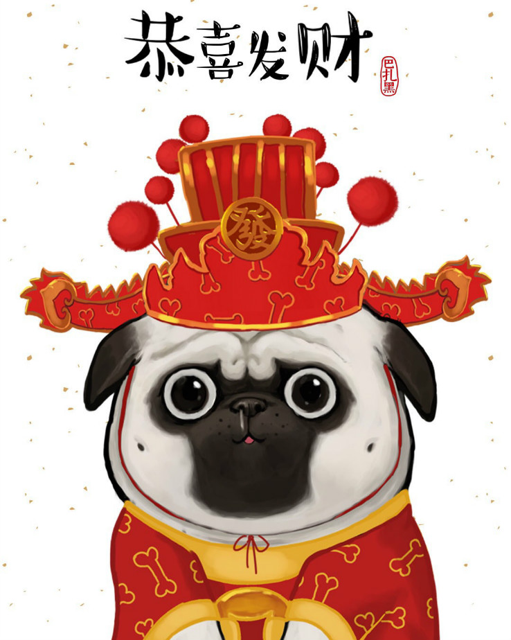 签约财富宝典,旺到飞起来