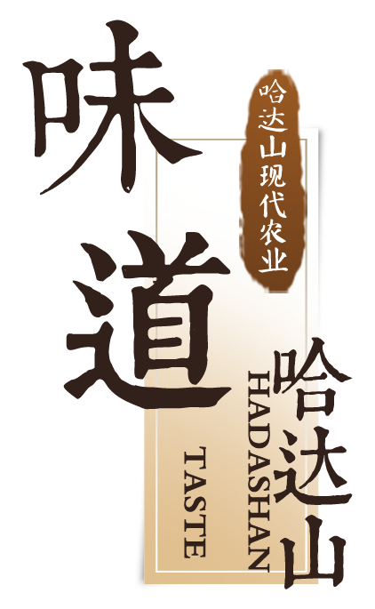 味道哈達(dá)山，健康新生活