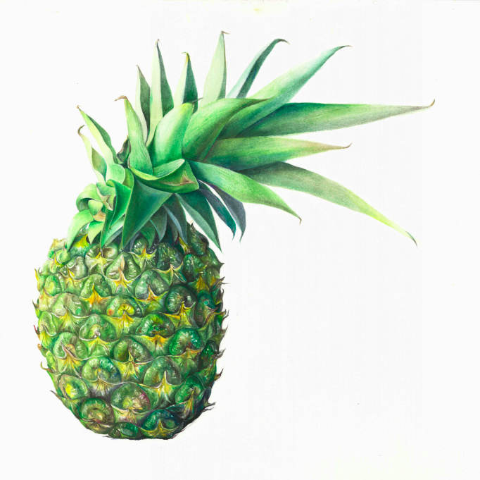 黄智雯作品