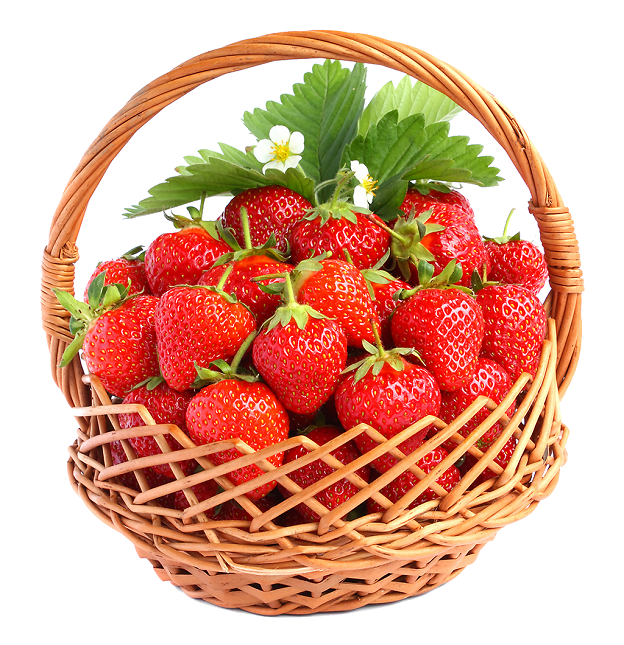石家庄草莓村邀您吃草莓~