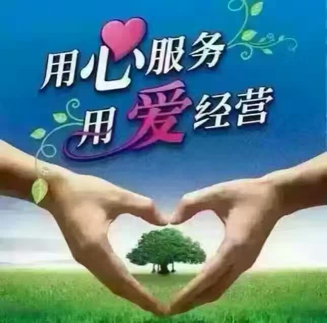 金牌殡导师