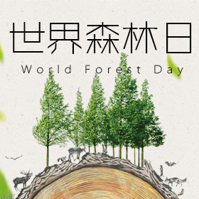 315   世界森林日
