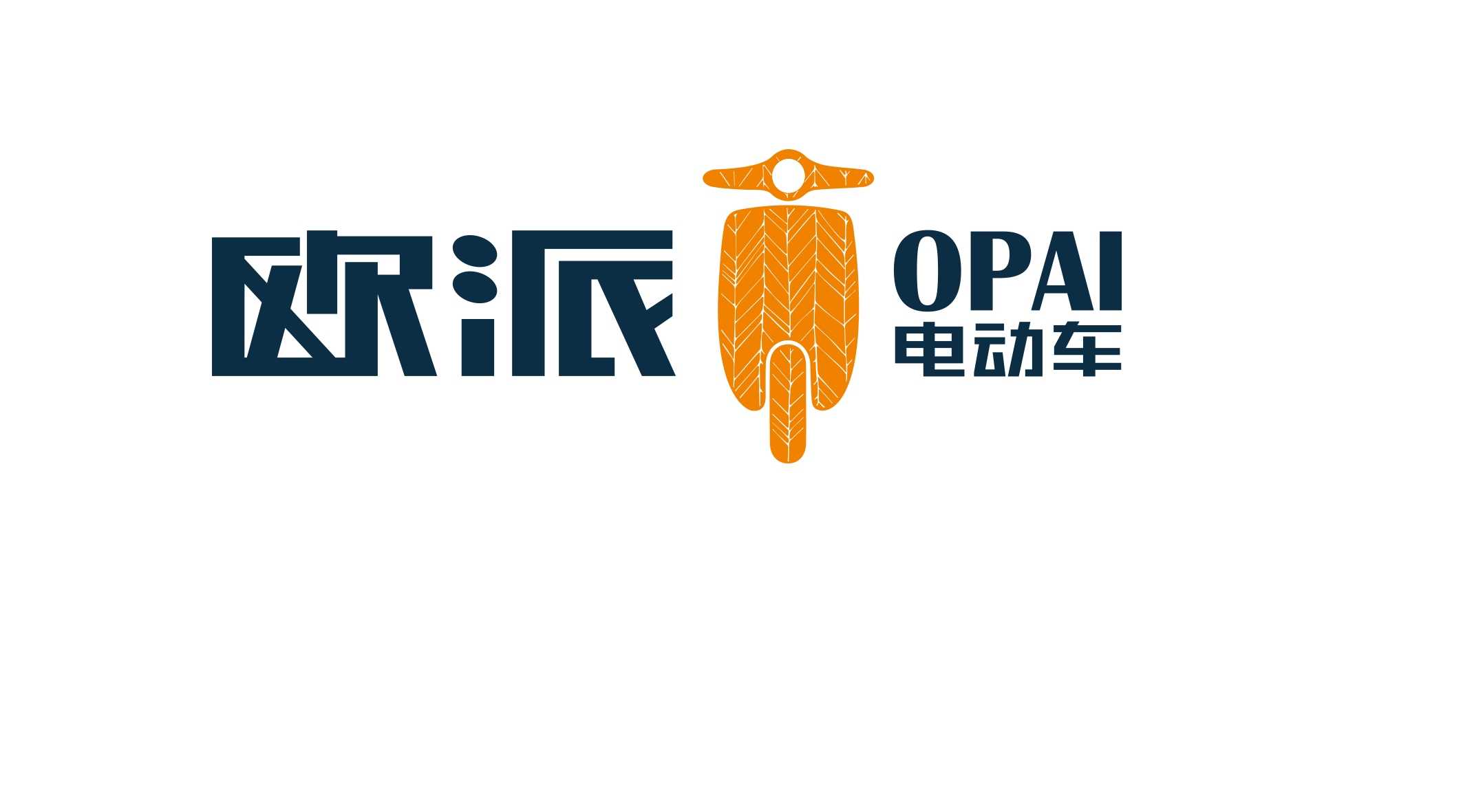 中国新歌声  欧派电动车专场