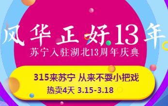 苏宁入驻湖北13周年庆典