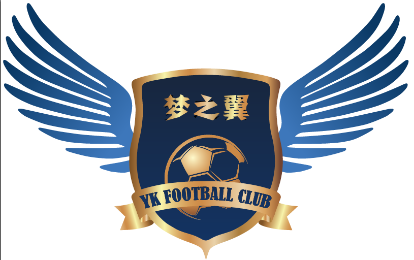 营口梦之翼青少年足球俱乐部